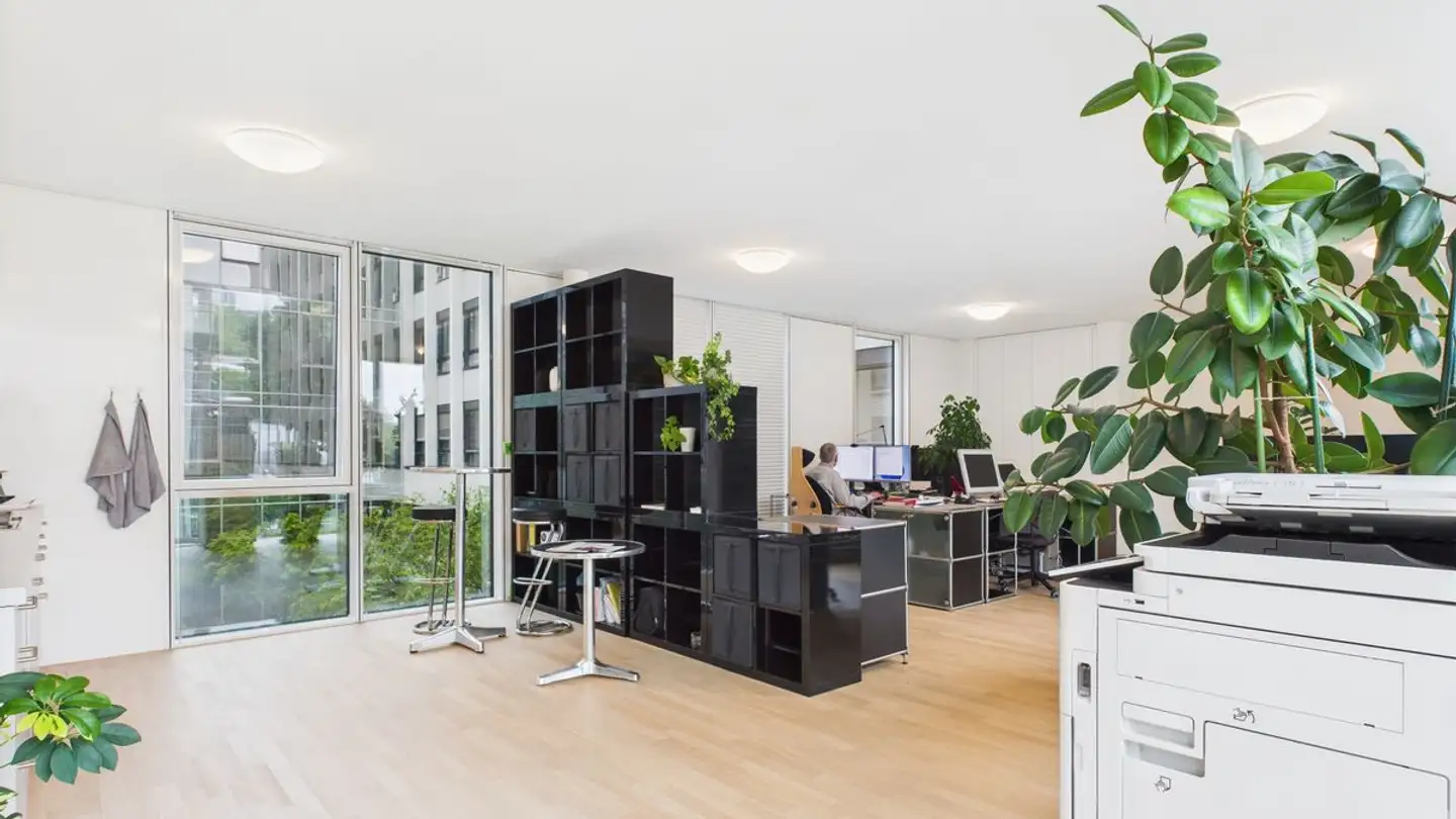 Office space for rent - Burgfelderstrasse 209, 4055 Basel - Photo 4