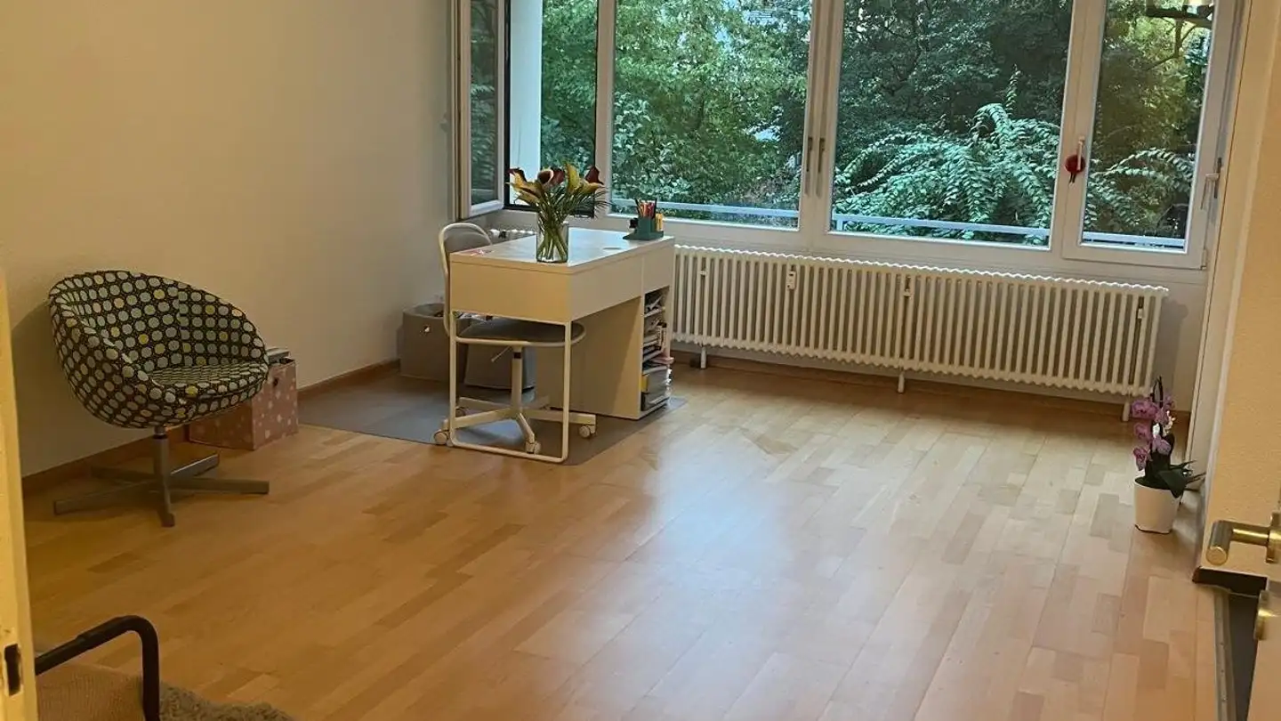 Appartement à louer - Socinstrasse, 4051 Basel