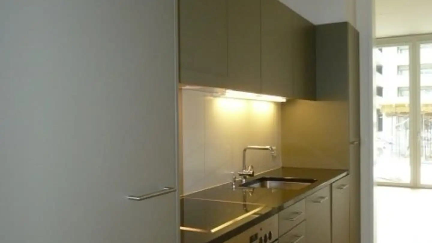 Studio in affitto - Else-Züblin-Strasse 112, 8404 Winterthur - Foto 2