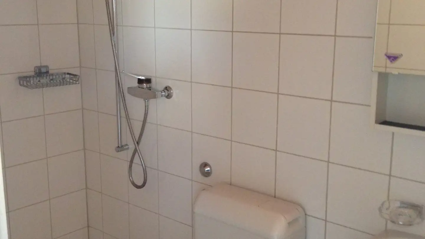 Studio in affitto - Salismatte 4, 2558 Aegerten - Foto 4