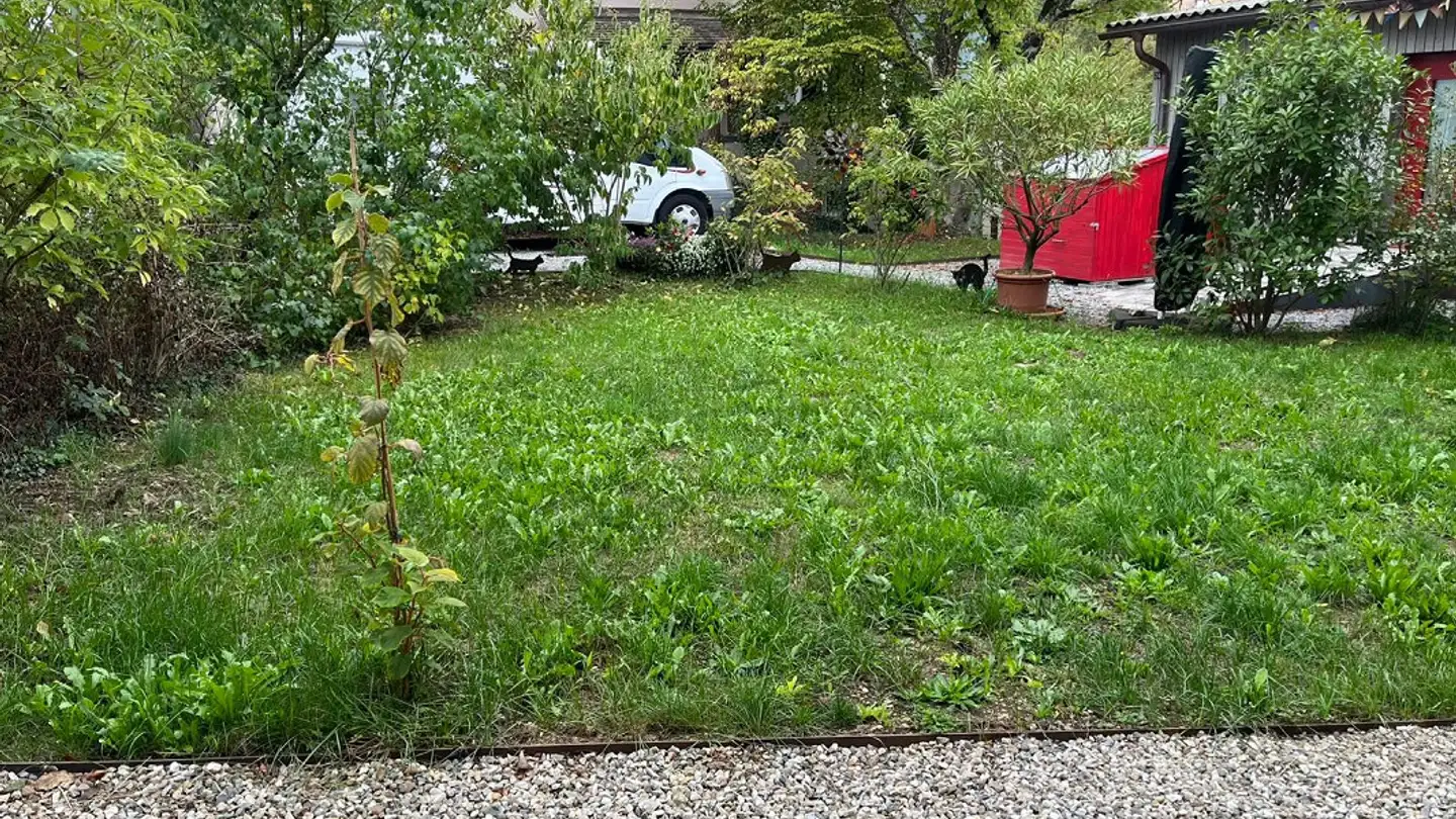 Single house for rent - 4450 Sissach - Photo 3