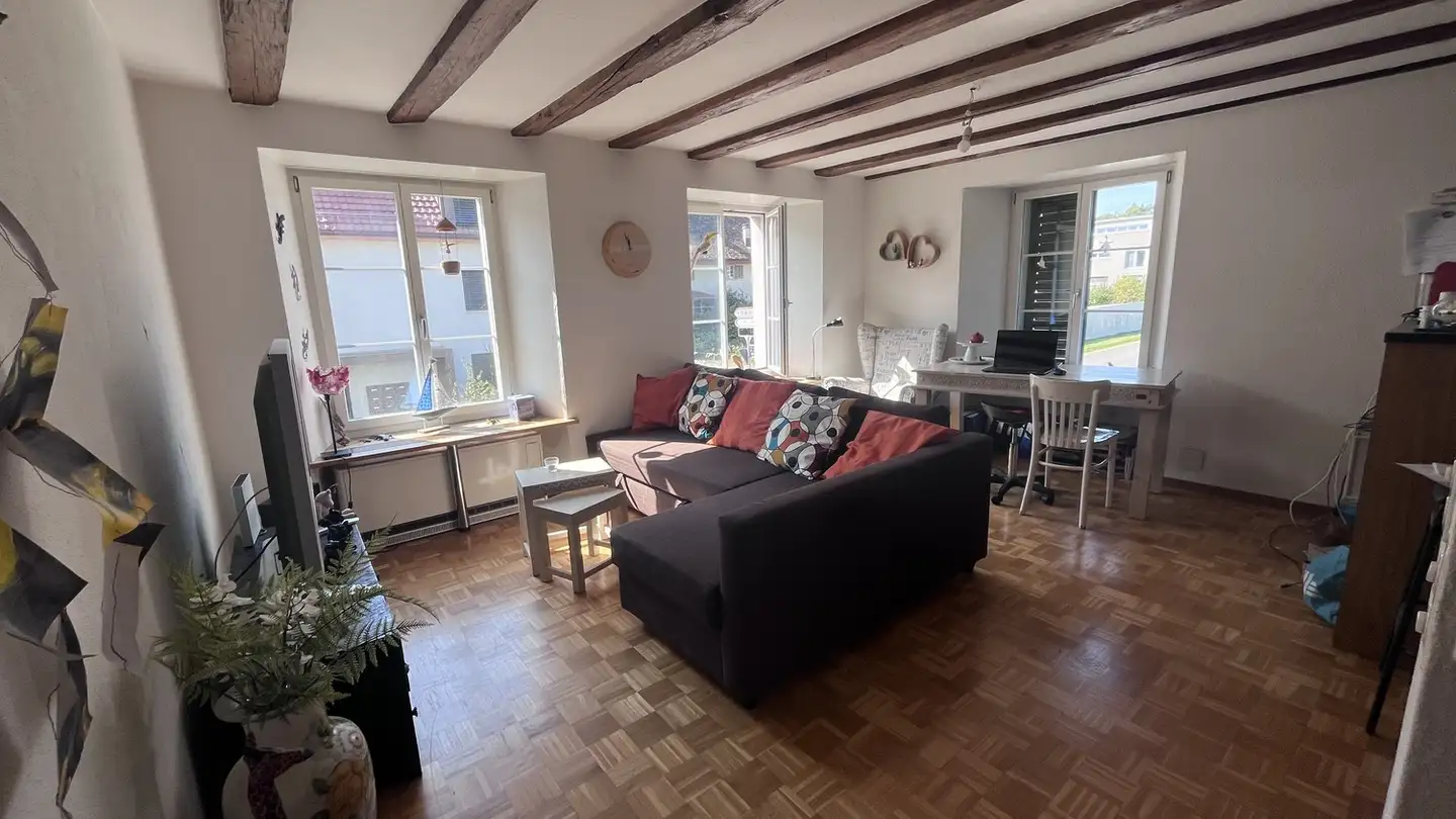 Apartment for rent - 8634 Hombrechtikon