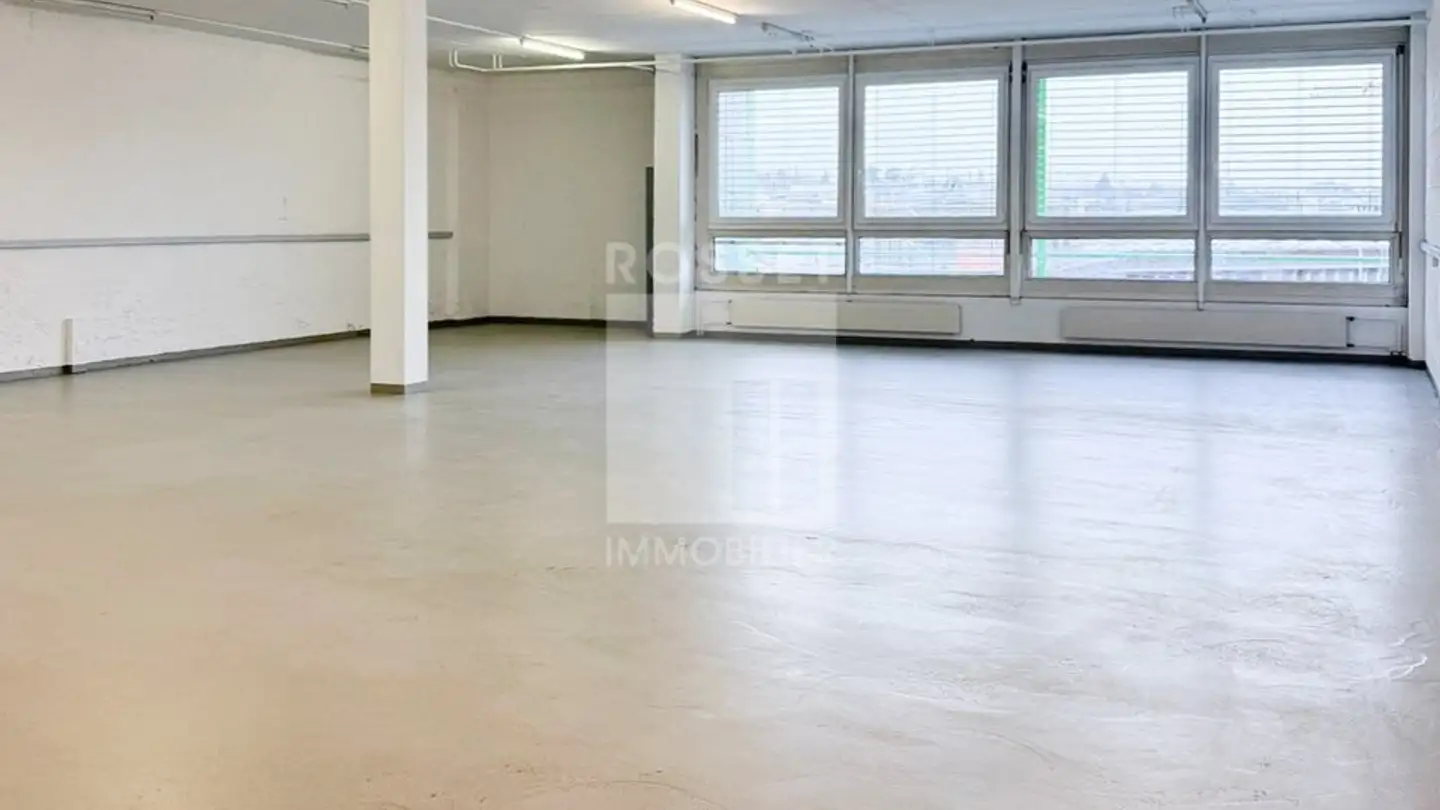 Werkstatt mieten - Chemin Du Champ-Des-Filles 19, 1228 Plan-les-Ouates