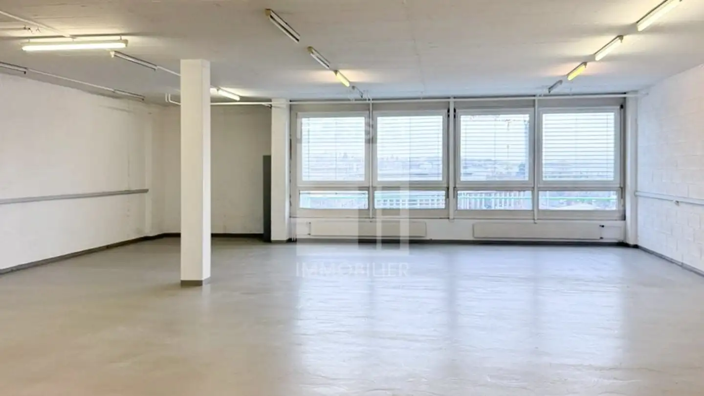 Werkstatt mieten - Chemin Du Champ-Des-Filles 19, 1228 Plan-les-Ouates - Foto 4