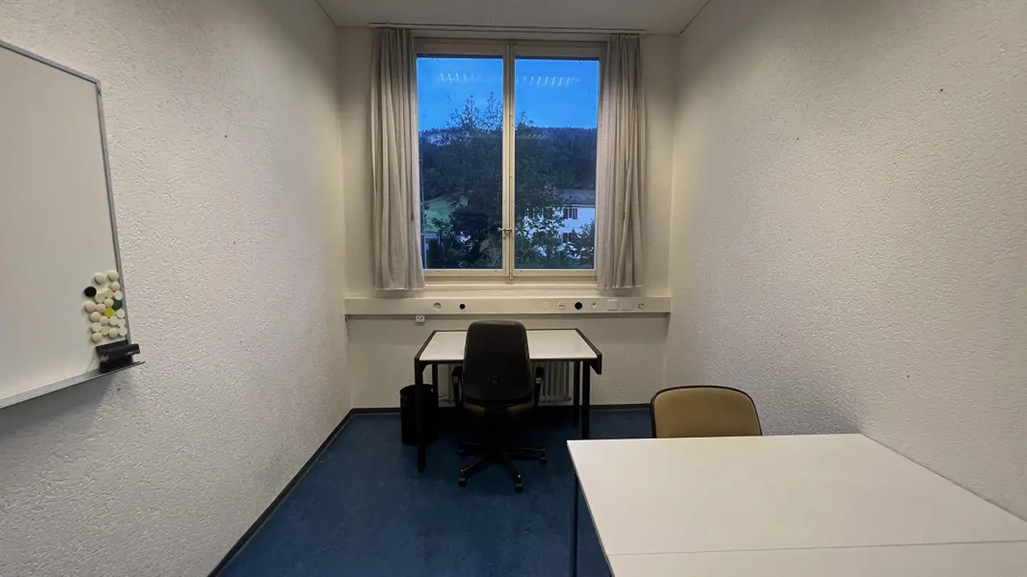 Commercial à louer - Tiergartenweg 1, 4710 Balsthal - Photo 3