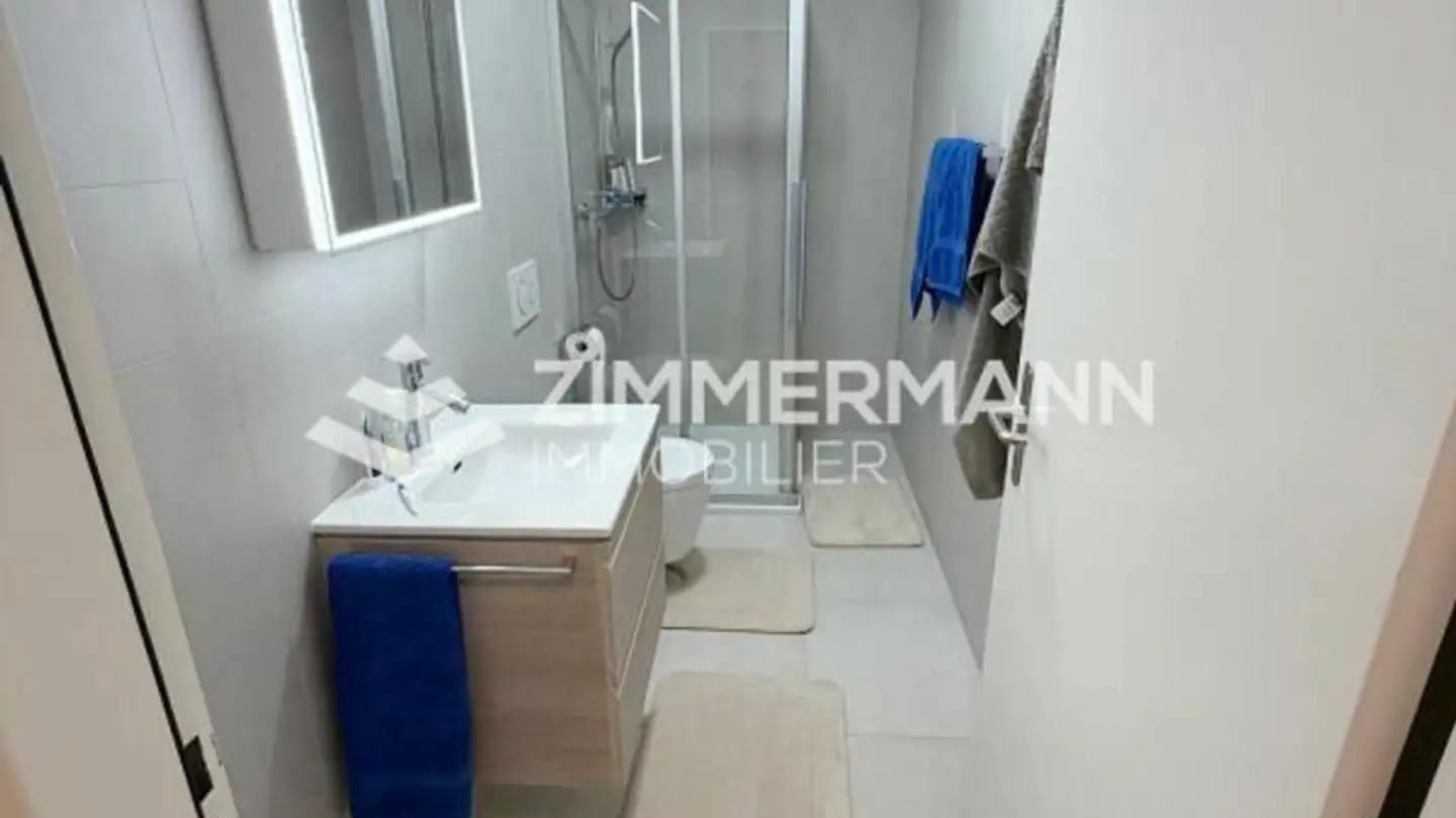 Appartamento in affitto - Chemin Des Cornillons, 1292 Chambésy - Foto 4