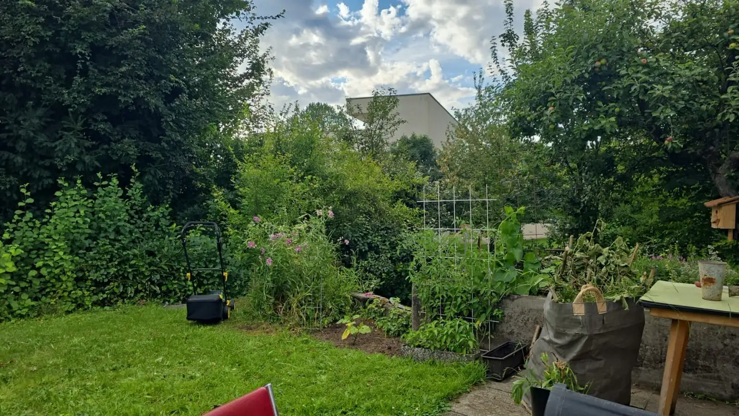 Single room for rent - 5200 Brugg AG - Photo 4