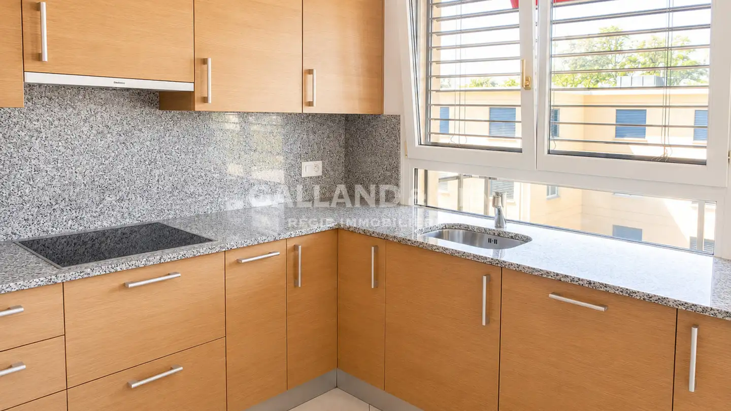 Apartment for rent - Chemin De La Cure, 1012 Lausanne - Photo 3