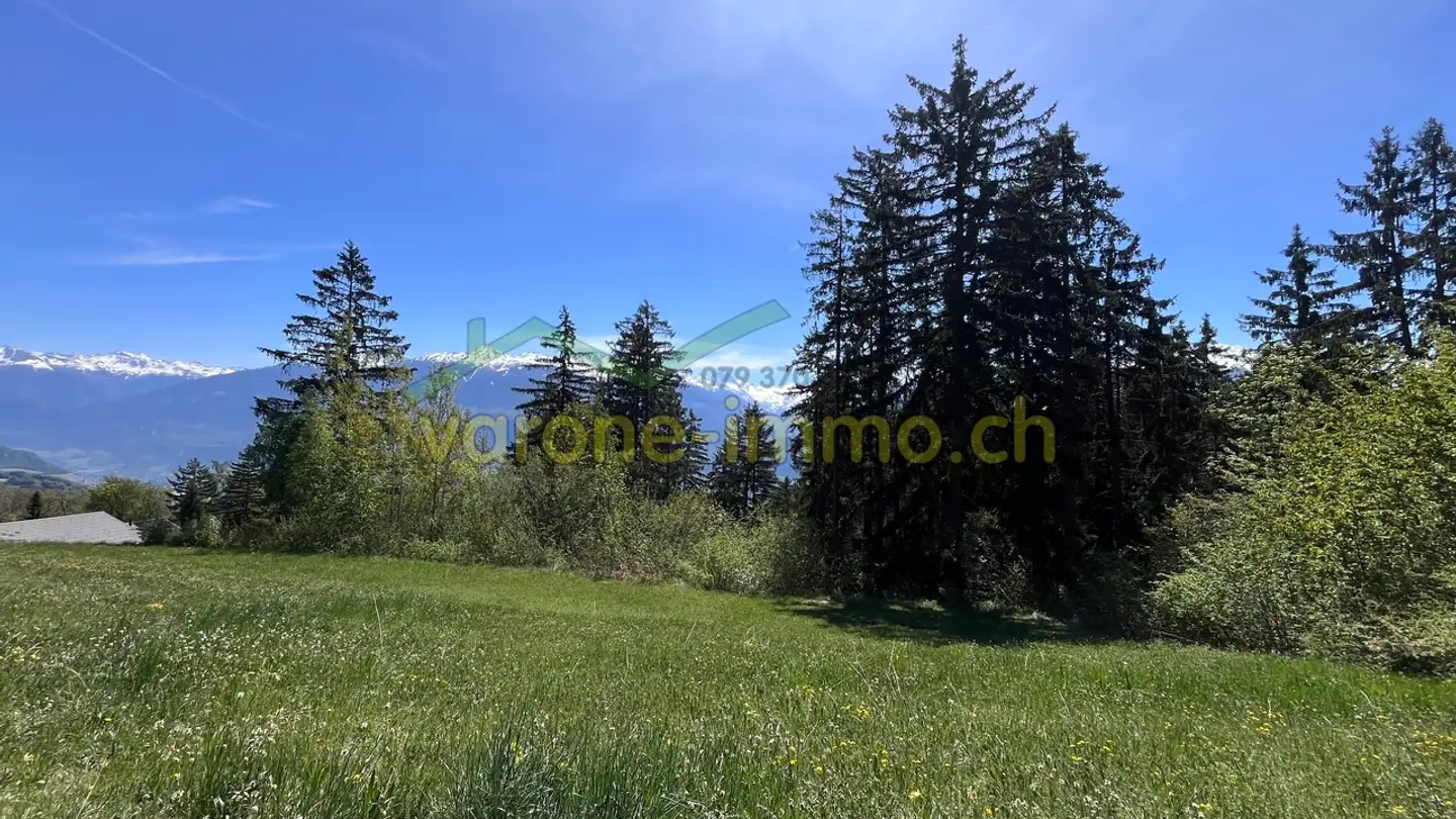 Terrain constructible à vendre - 1965 Savièse - Photo 2
