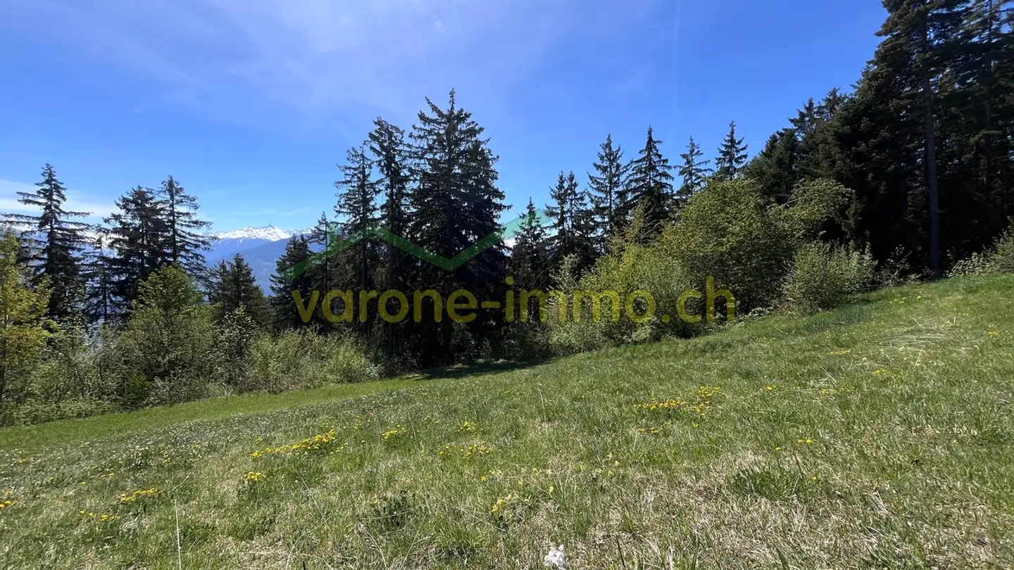 Terrain constructible à vendre - 1965 Savièse - Photo 4