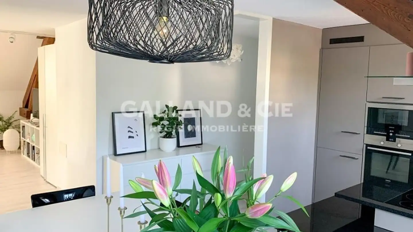 Appartamento in affitto - Route Aloys-Fauquez 4, 1018 Lausanne