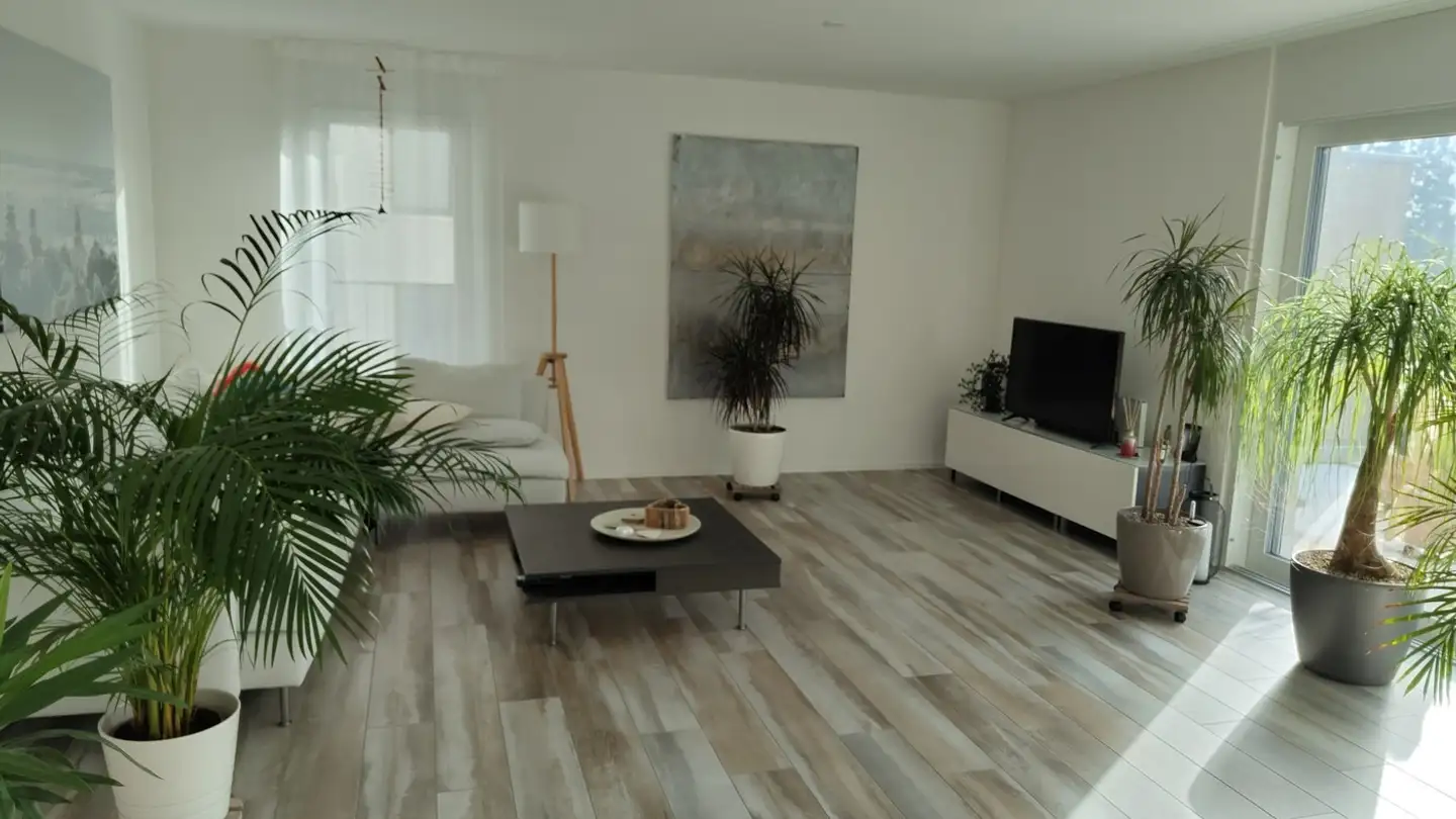 Appartamento in affitto - Sunnebach 5, 8634 Hombrechtikon - Photo 2