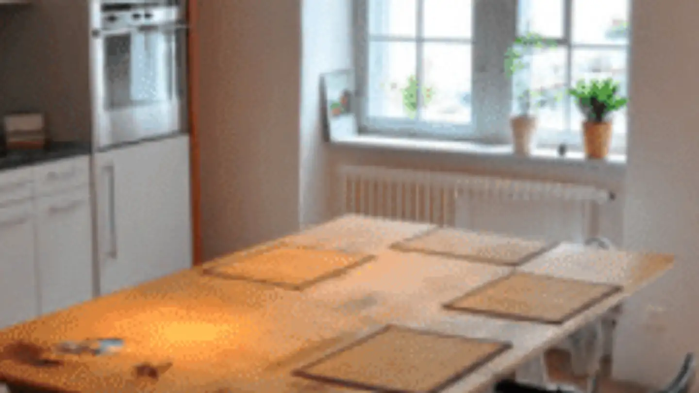 Penthouse for rent - Vorstadt, 8200 Schaffhausen - Photo 4