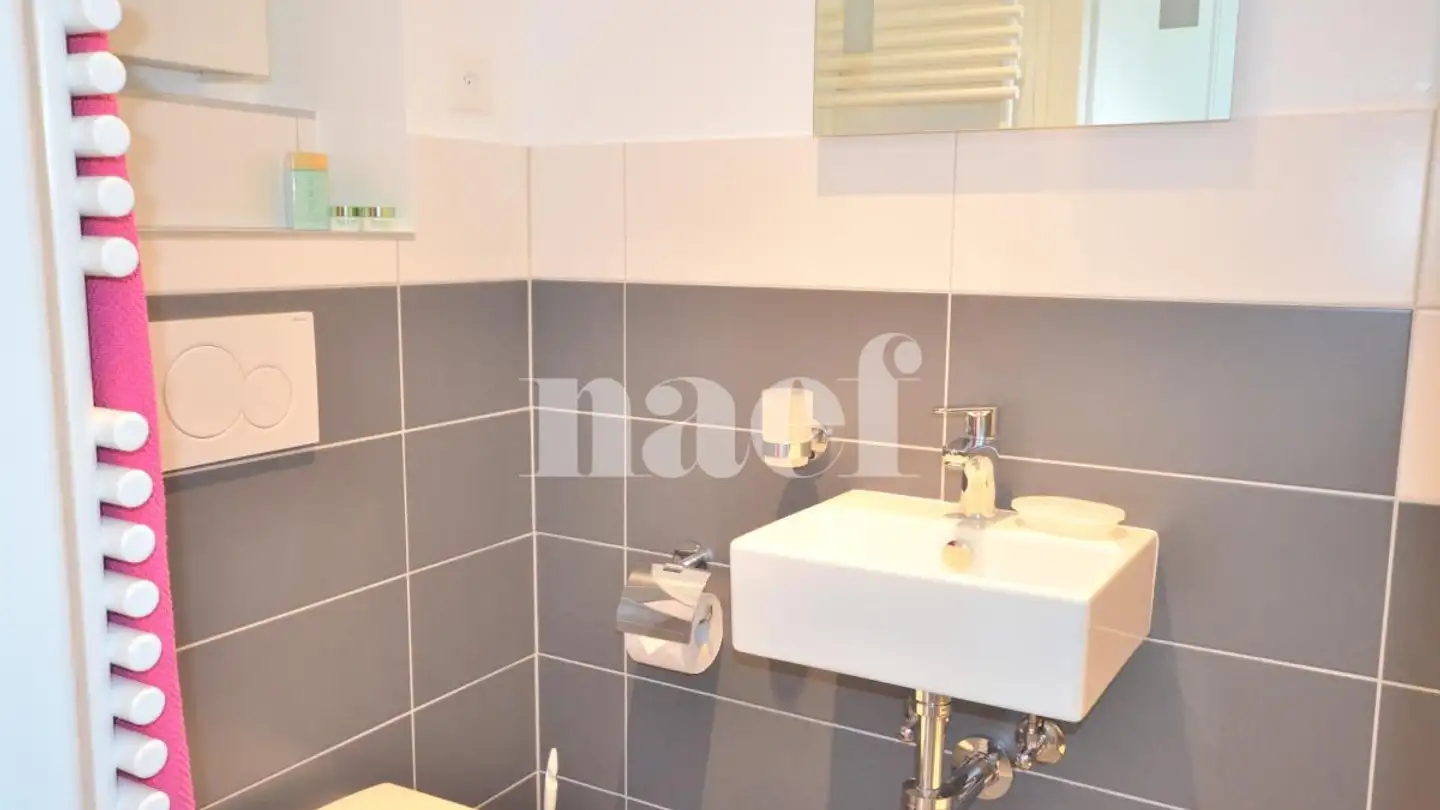 Apartment for rent - Chemin Des Tuilières 9, 1028 Préverenges - Photo 4