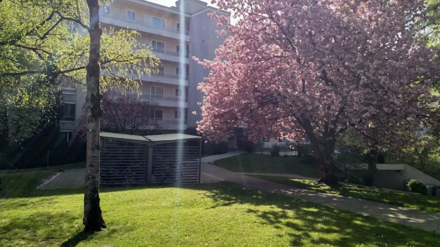 Appartamento in affitto - Birkenstrasse 24, 8306 Brüttisellen