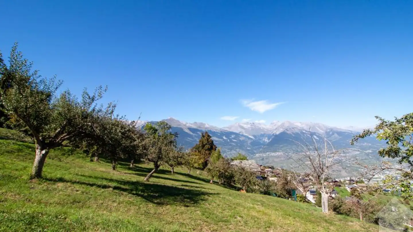 Terrain constructible à vendre - 1996 Basse-Nendaz - Photo 2