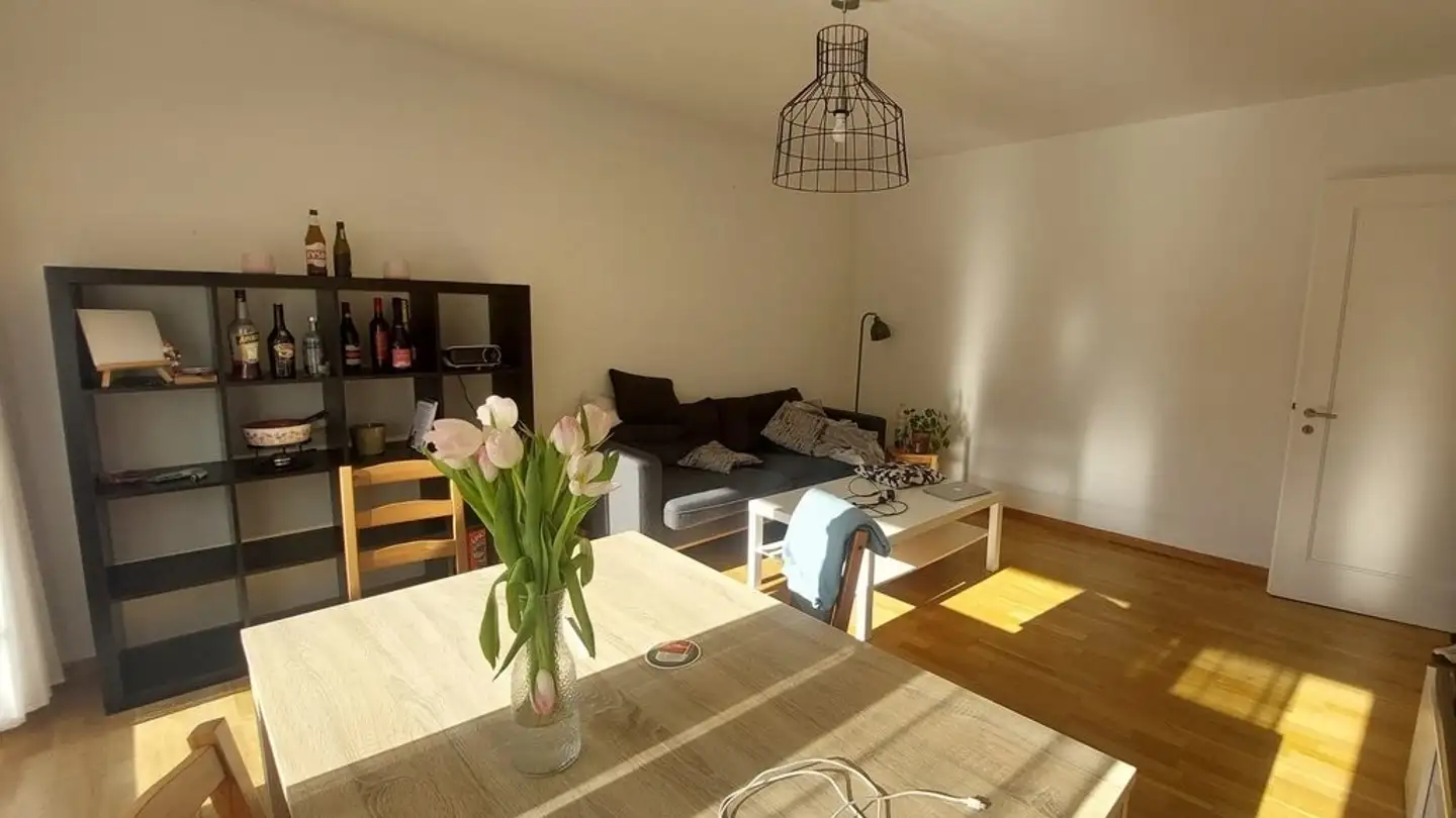 Apartment for rent - Regensbergstrasse 301, 8050 Zürich - Photo 2