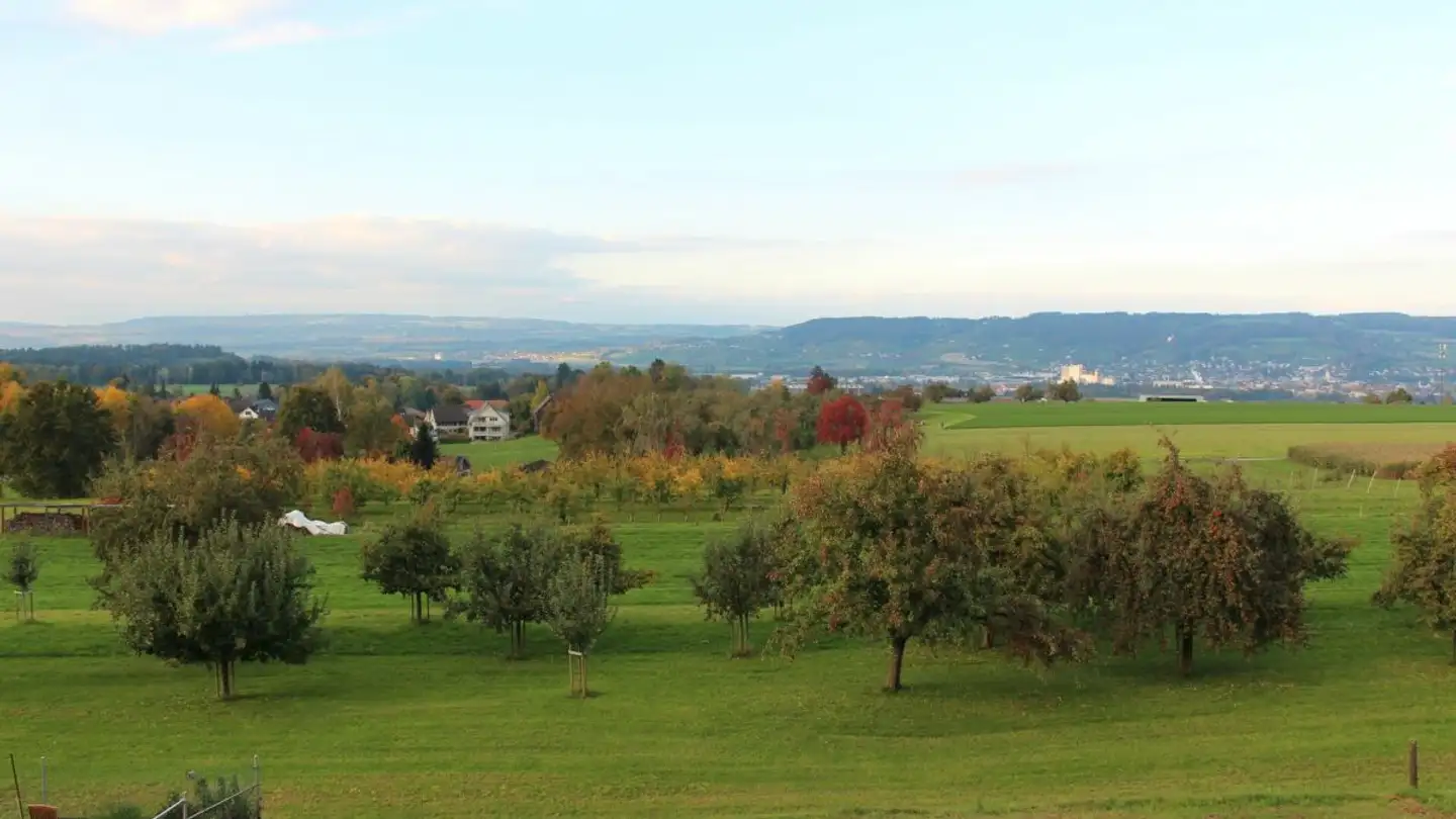 Terreno edificabile in vendita - Weingarten 43, 9504 Friltschen