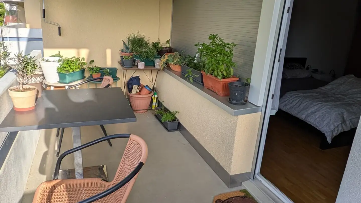 Wohnung mieten - Sihlweidstrasse 14, 8041 Zürich - Foto 4