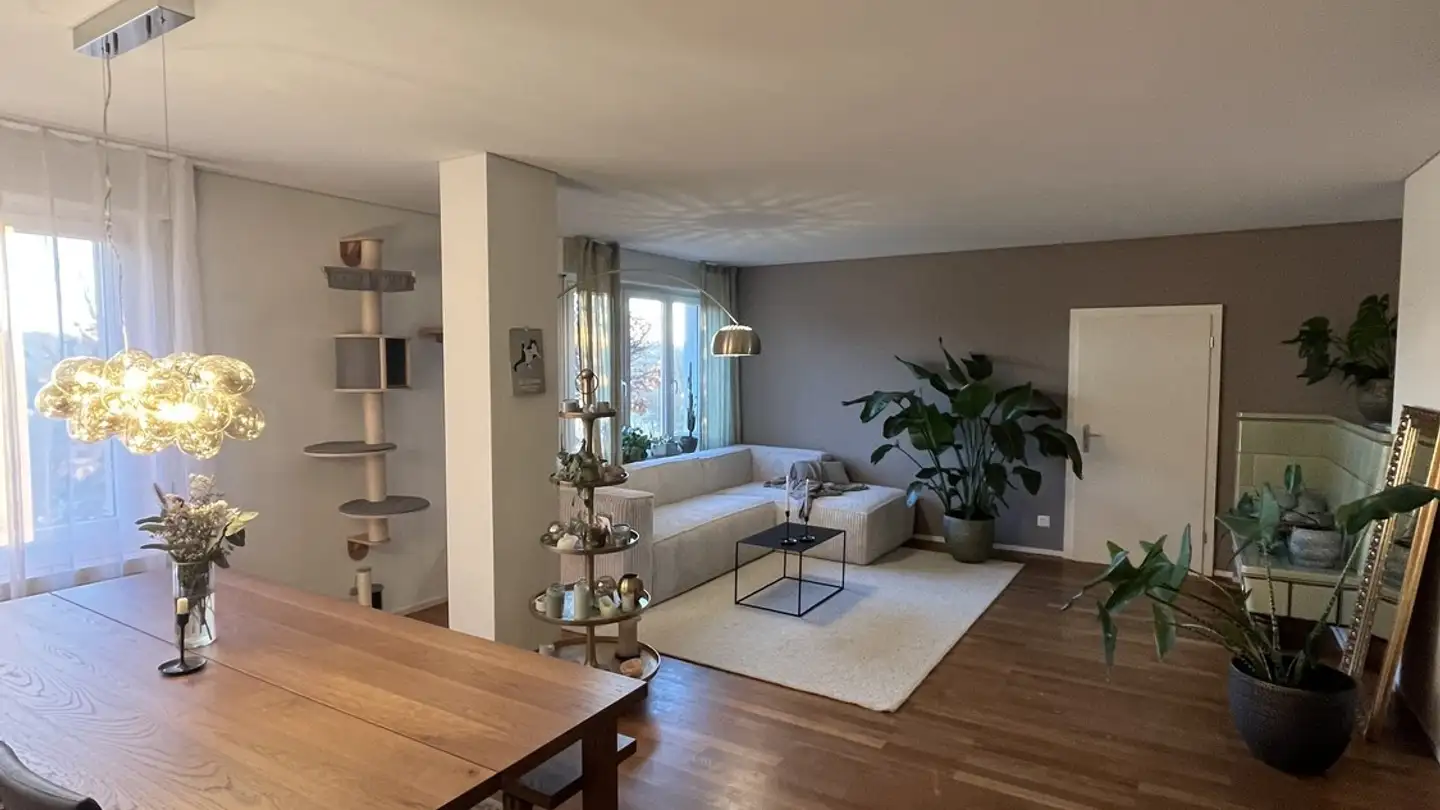 Stanza singola in affitto - 4628 Wolfwil - Photo 2