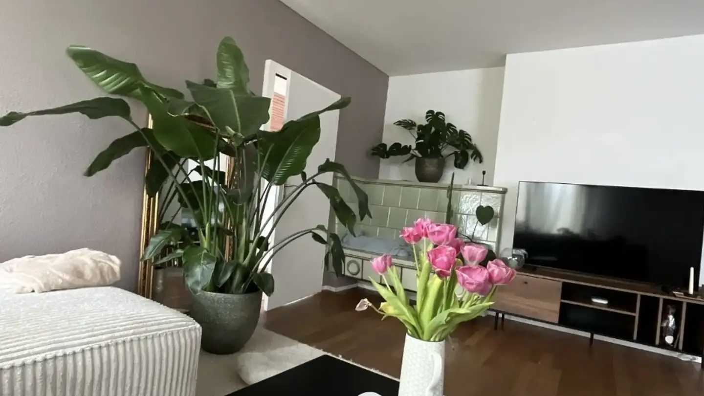 Stanza singola in affitto - 4628 Wolfwil - Photo 3