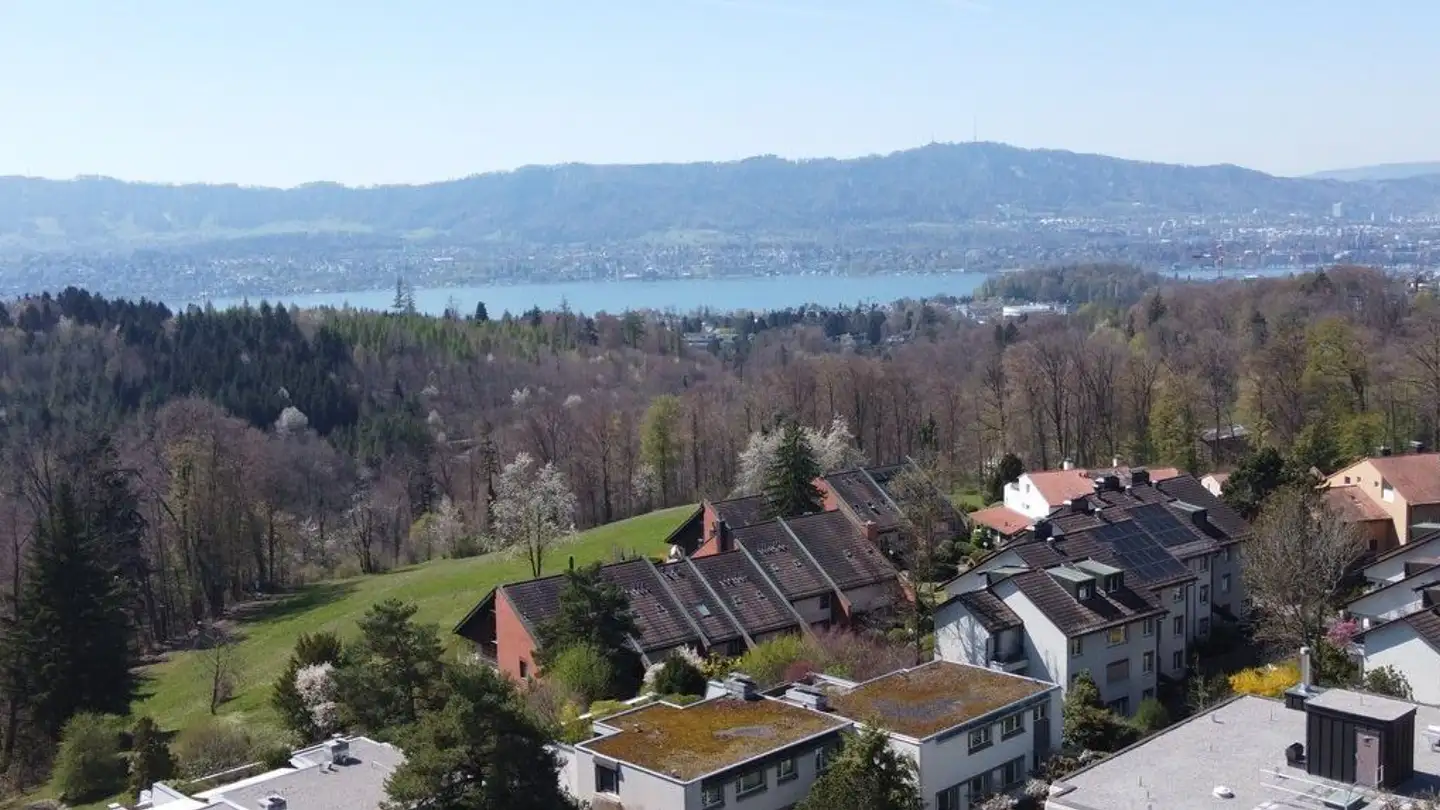 Maison en terrasse à vendre - Wiesliacher 43, 8053 Zürich - Photo 2