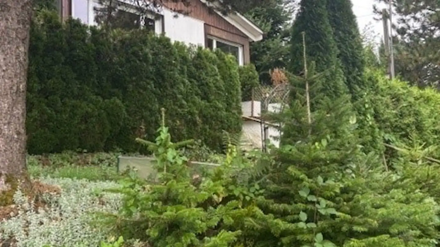 Casa singola in vendita - Wilen 920, 9428 Walzenhausen - Photo 2