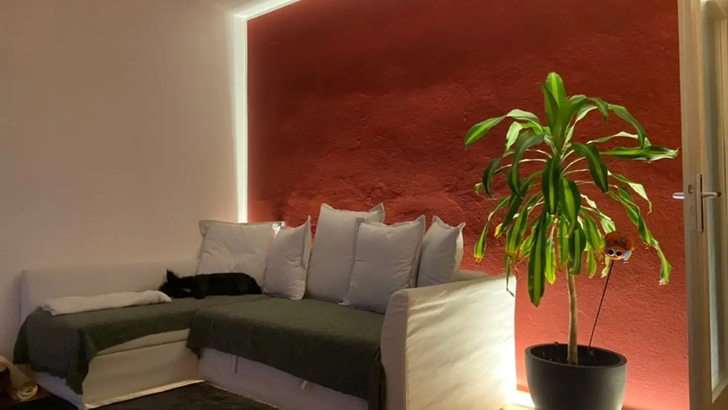 Appartamento in affitto - 6977 Ruvigliana - Foto 3