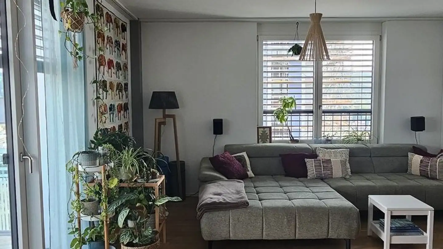 Stanza singola in affitto - Am Stadtrand 43, 8600 Dübendorf