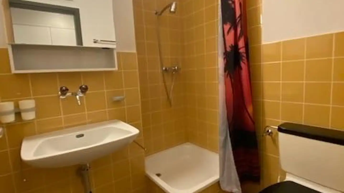 Apartment for rent - Feldstrasse 11, 7430 Thusis - Photo 4