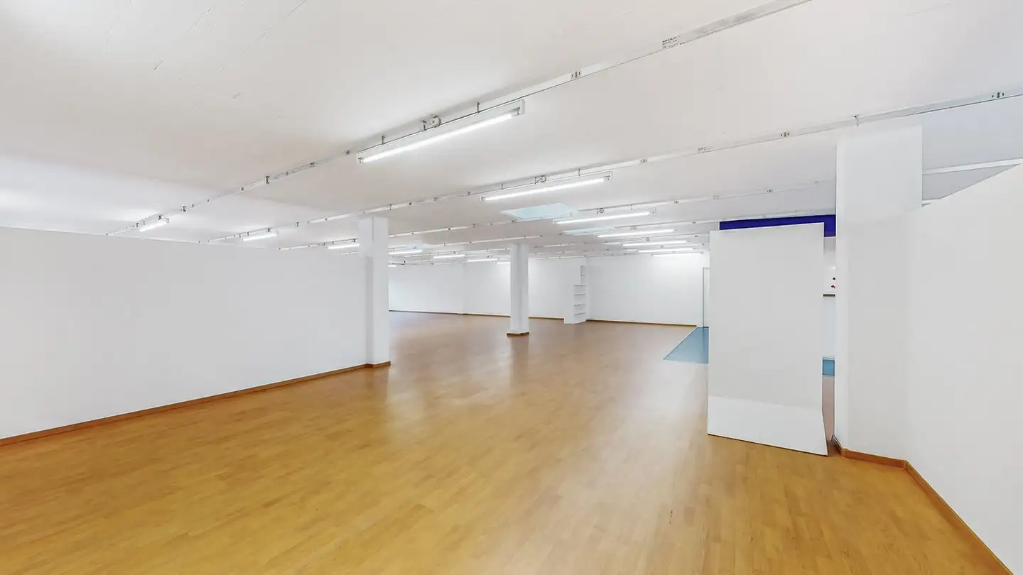 Commercial for rent - 6573 Magadino