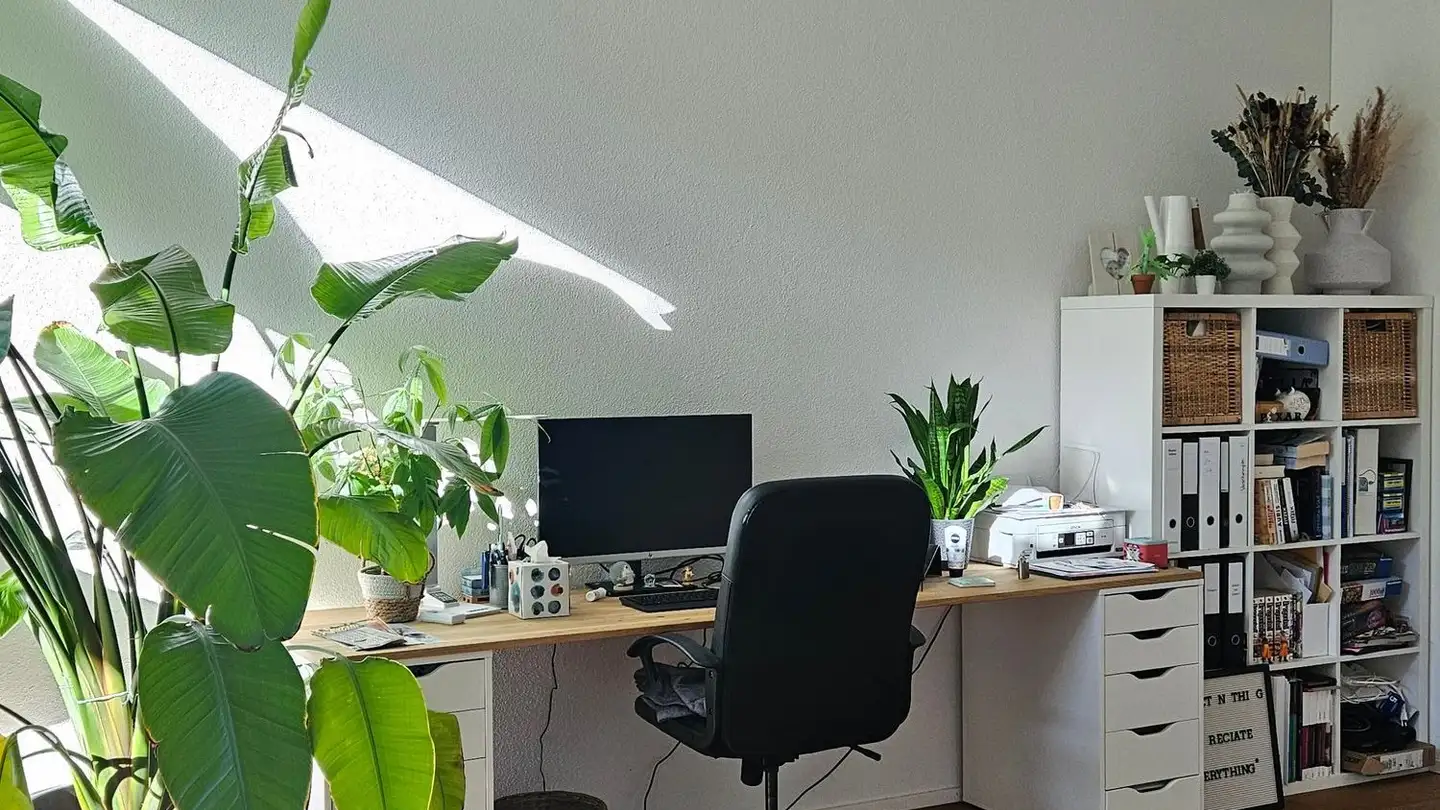 Appartement en terrasse à louer - Lindenstrasse 25, 4900 Langenthal - Photo 4