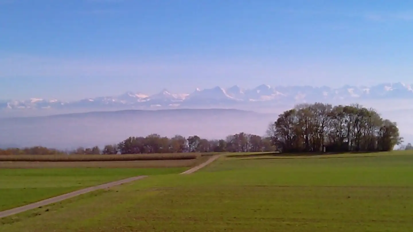 Casa singola in vendita - Champ Favre 11, 2515 Prêles - Foto 4