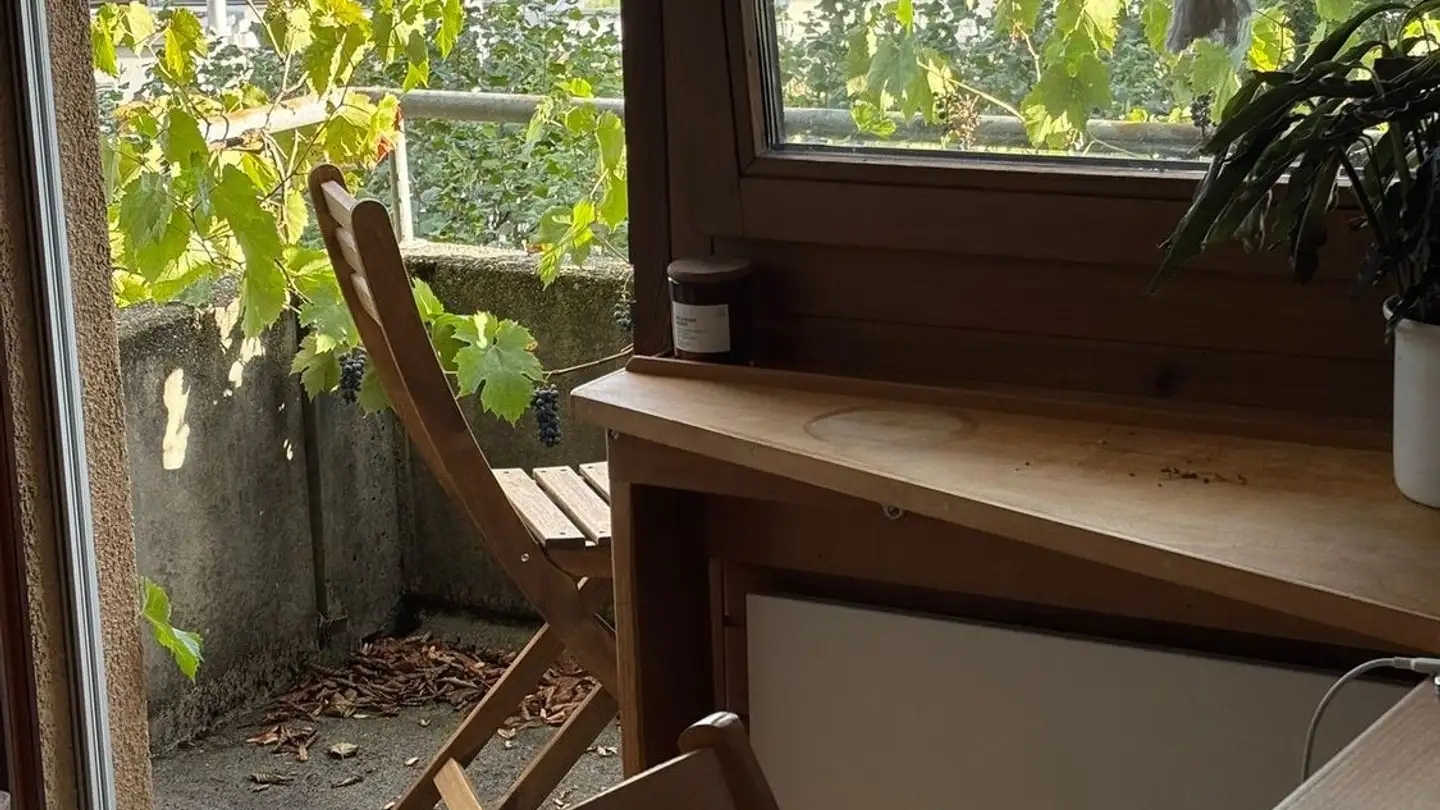 Single room for rent - Am Gsteigtobel 1, 8713 Uerikon - Photo 3