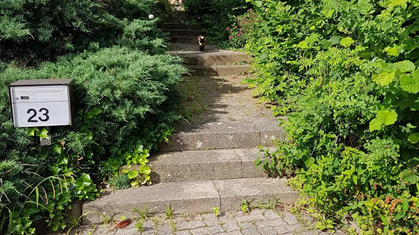 Casa singola in vendita - Rietacker 23, 9548 Matzingen - Photo 4