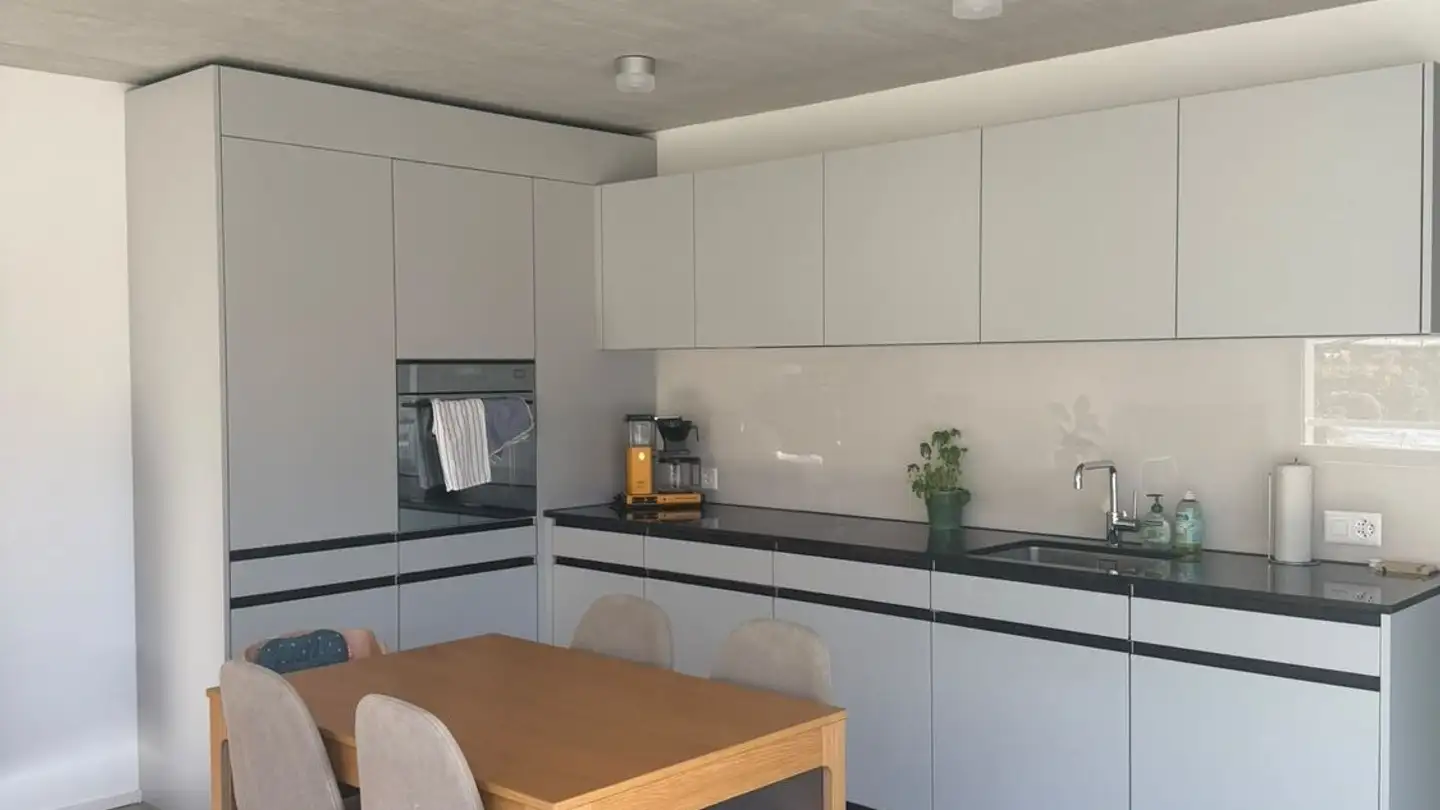 Appartamento in affitto - Hegianwandweg 102, 8045 Zürich - Foto 2