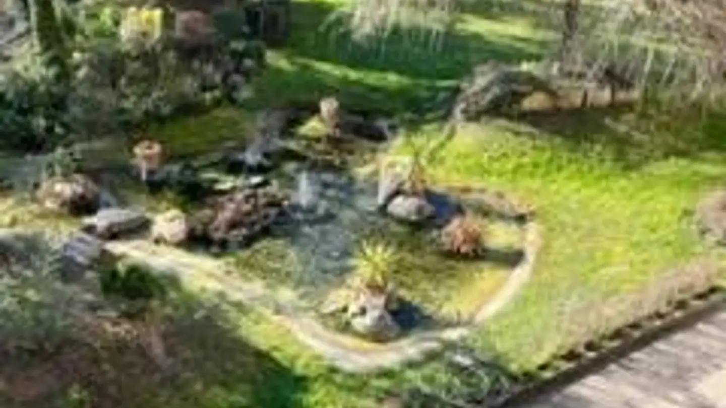 Appartement à louer - Route De Frontenex 112, 1208 Genève - Photo 4