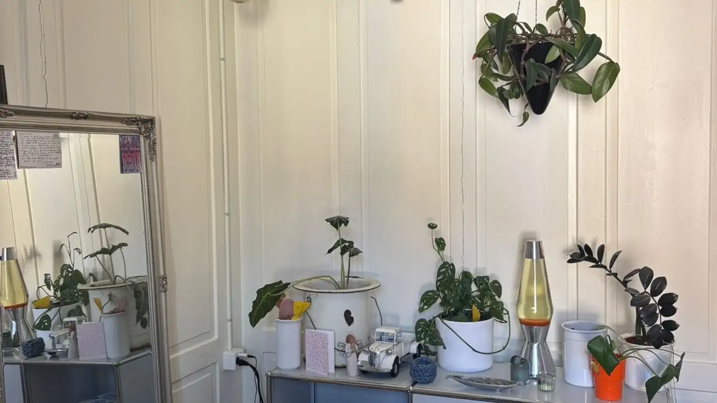 Stanza singola in affitto - Jägerstrasse 91, 8406 Winterthur