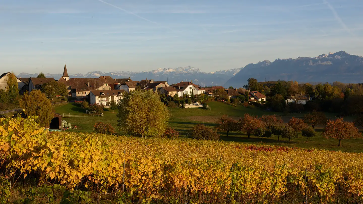 Villa kaufen - 1168 Villars-sous-Yens - Foto 2