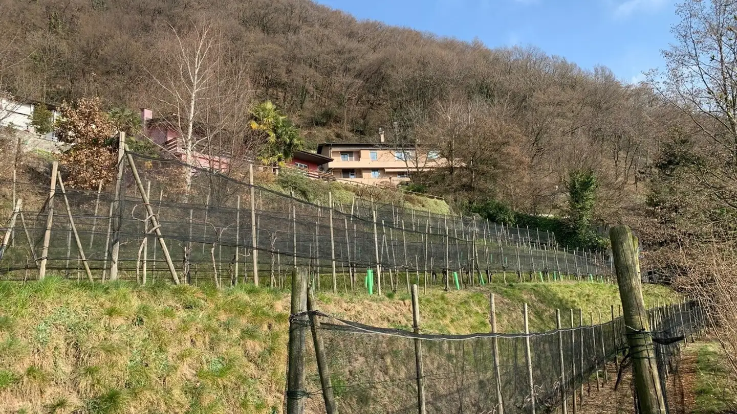 Terrain constructible à vendre - Buée, 6835 Morbio Superiore