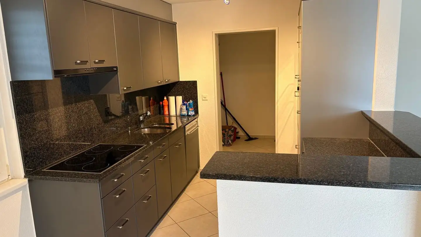 Penthouse for rent - Ziegelhüttenweg 2, 8604 Volketswil - Photo 2