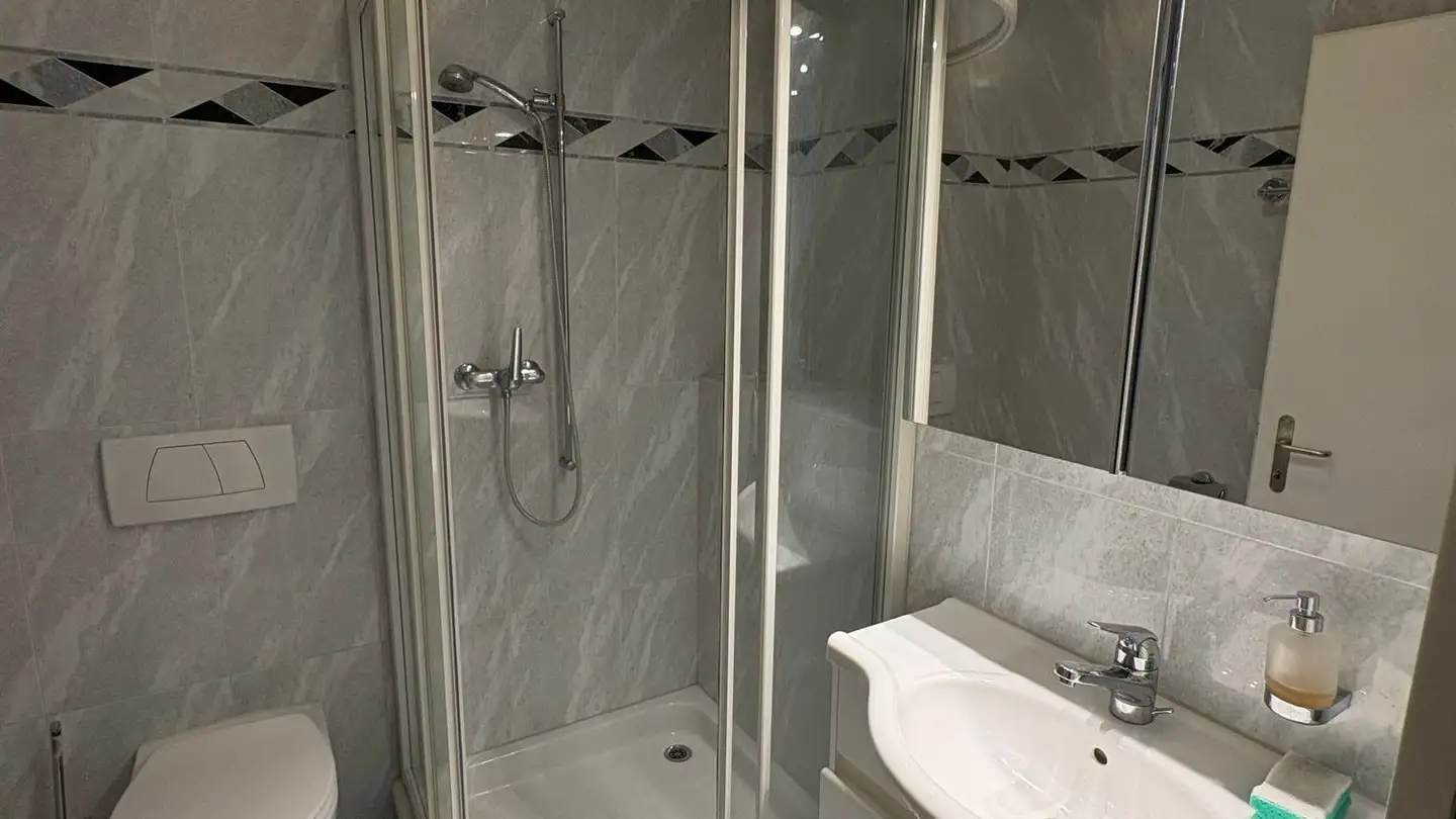 Penthouse for rent - Ziegelhüttenweg 2, 8604 Volketswil - Photo 4