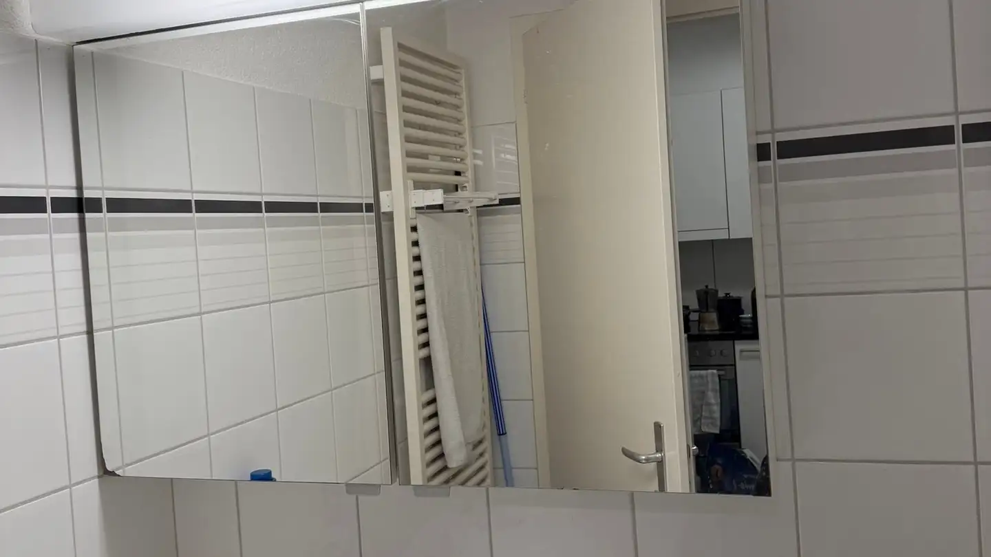 Appartamento in affitto - 5033 Buchs AG
