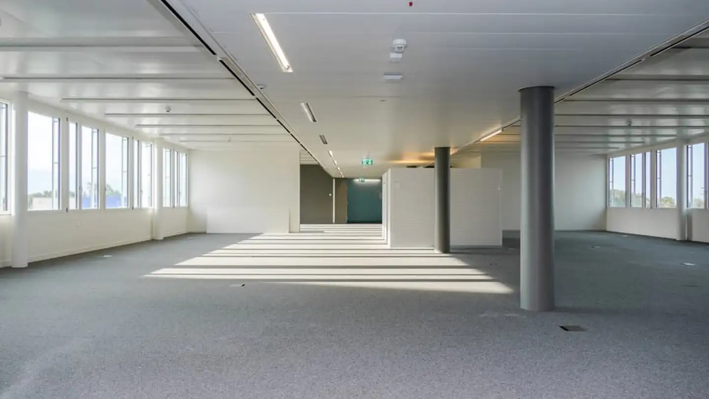 Commercial for rent - Avenue De Valmont 41, 1010 Lausanne - Photo 4