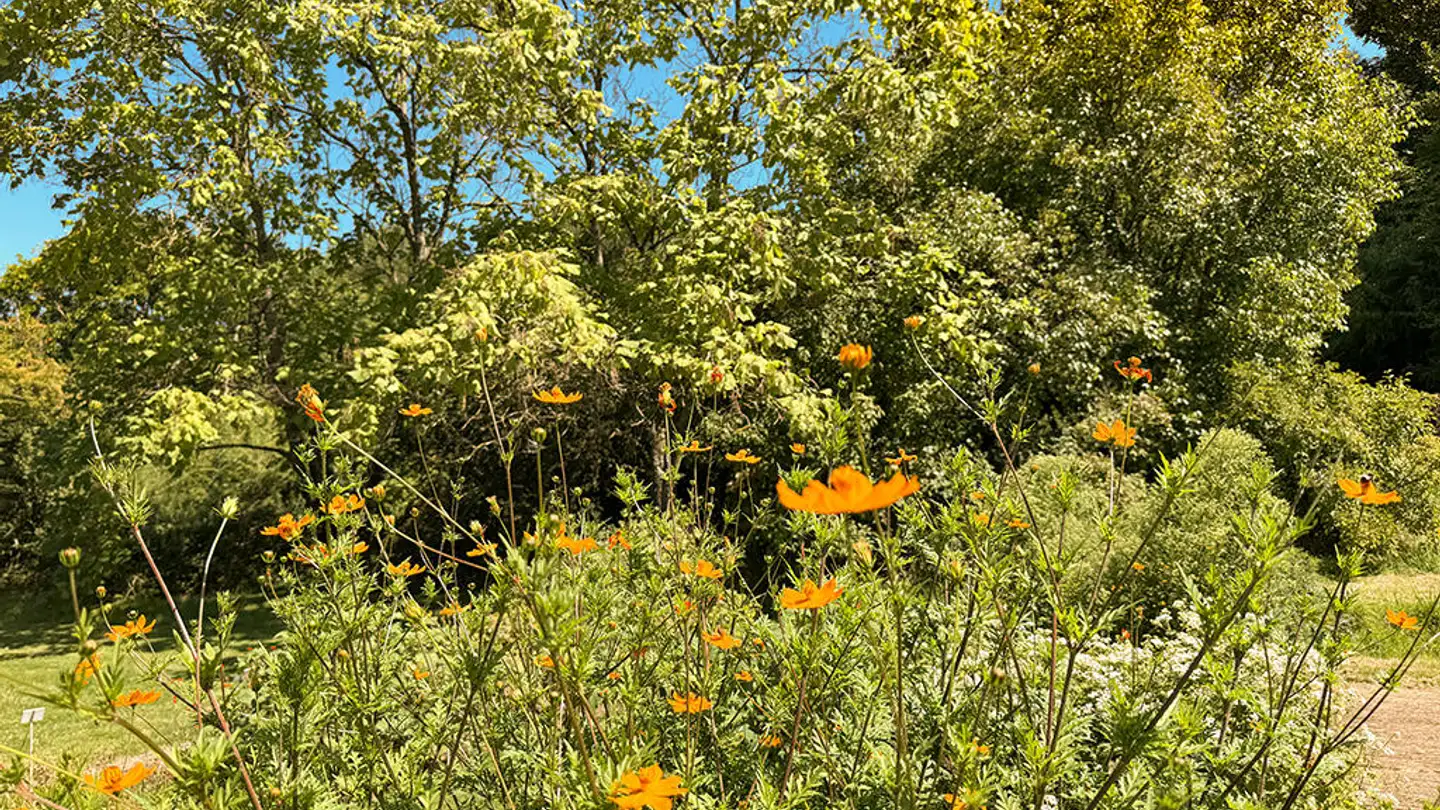 Villa in vendita - 1304 Cossonay-Ville - Foto 2