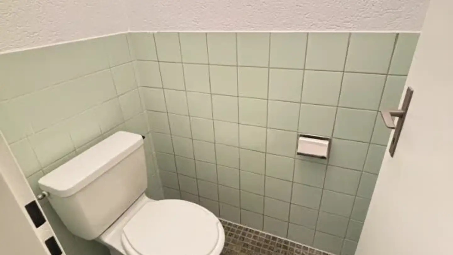 Apartment for rent - Schafmattweg 33, 4102 Binningen - Photo 4