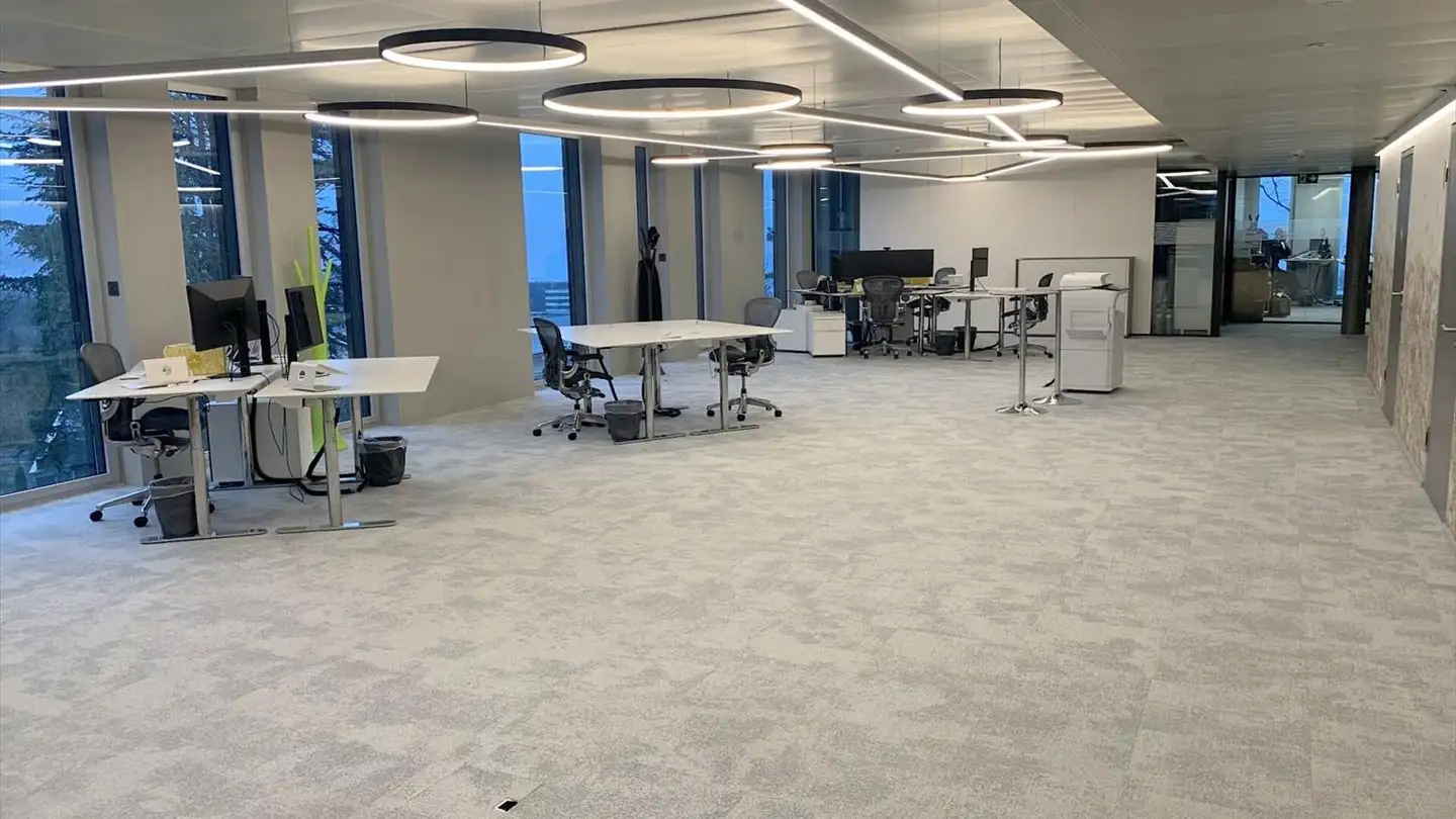 Bureau à louer - Route de Lully 5, 1131 Tolochenaz