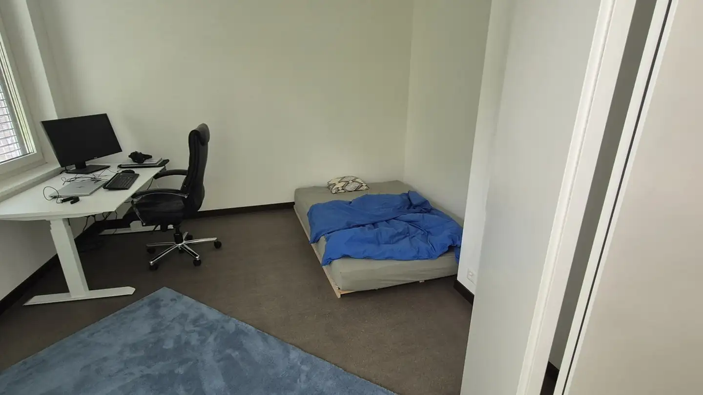 Appartamento in affitto - Wartstrasse, 8408 Winterthur - Foto 4