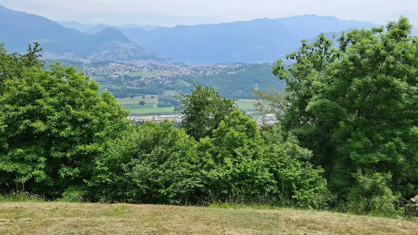 Commercial building plot for sale - 6936 Cademario - Photo 2