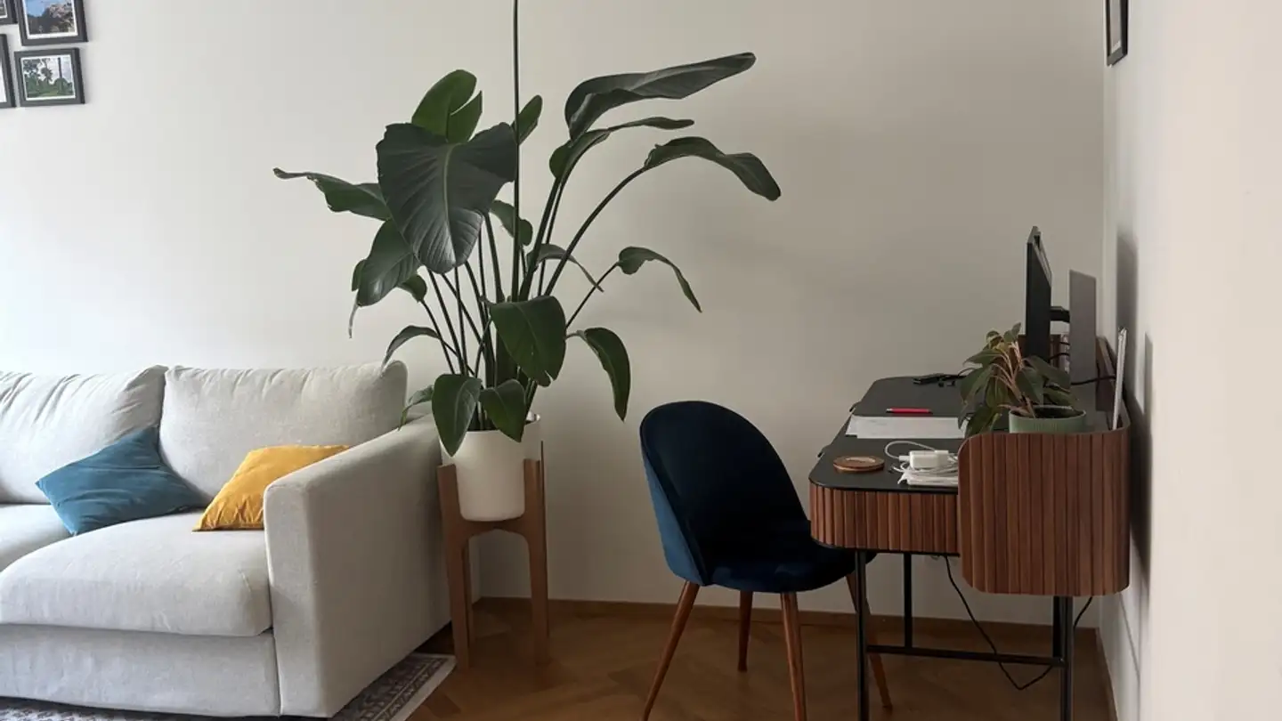 Appartamento in affitto - Bremgartnerstrasse, 8003 Zürich - Foto 4